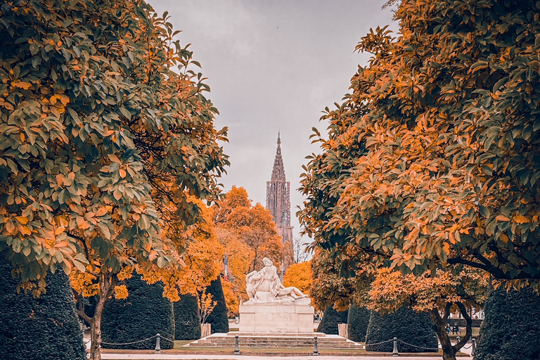 Walking tour in Strasbourg between history and curiosities