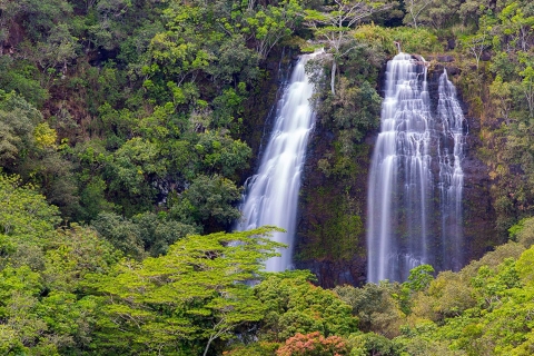 Kauai: visite en bus des lieux de tournage de films pittoresquesVisite de l'emplacement du film à Kauai depuis Lihue et Wailua