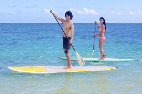 Oahu: Kailua Stand Up Paddle Board lektionKailua: 2,5 timmars SUP-lektion