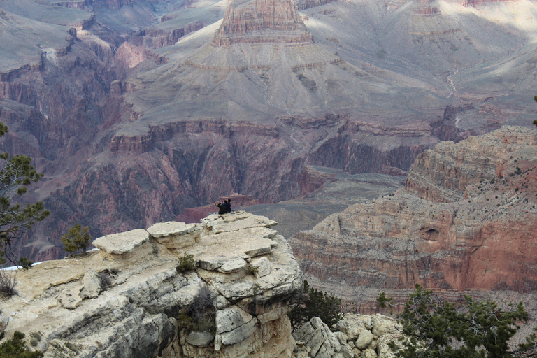 From Boulder City: Grand Canyon National Park South Rim Tour