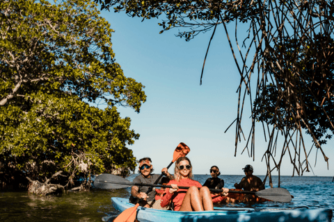 Key West morgonsegling, snorkling och kajakutflykt