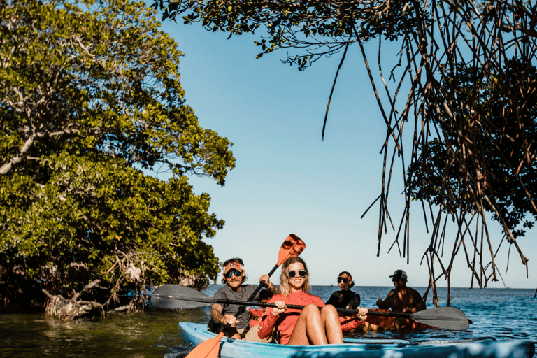 Escursione mattutina in barca a vela, snorkeling e kayak a Key West