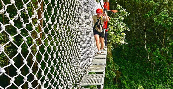 Chiang Mai: Zipline & Sticky Waterfall Adventure Day Trip
