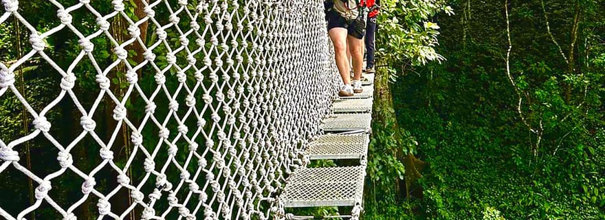 Chiang Mai : excursion d'une journée à la cascade collante et aventure en tyrolienne
