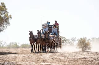 Longreach: Fahre mit einer historischen Postkutsche auf einer Buschstrecke