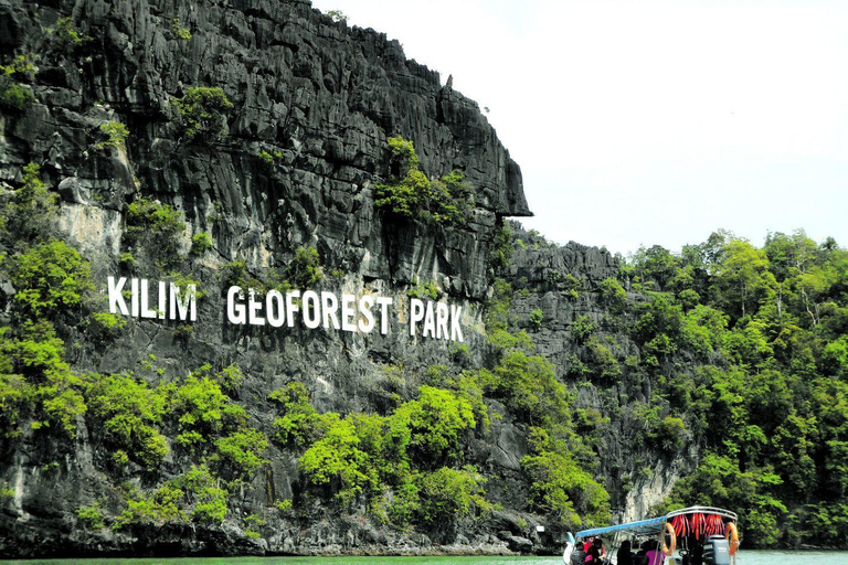 Langkawi: 1 Hour Private Mangrove Kilim Geoforest Boat Tour