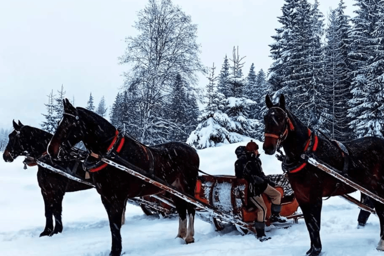 Zakopane: Chochołowska Valley Sleigh Ride with Bonfire