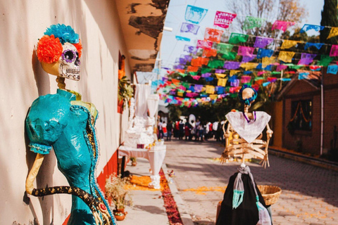 From Mexico City: San Andrés Mixquic Day of the Dead Tour