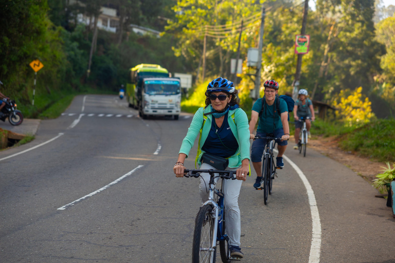 Ella: Demodara Cycling Tour with Train Ride