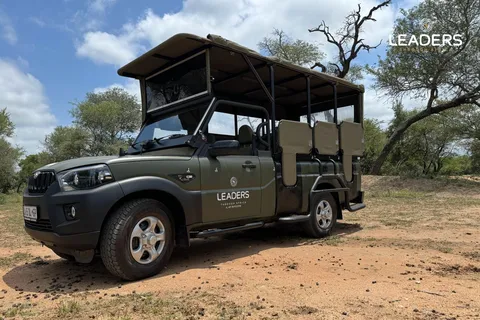 Hoedspruit: Private Kruger National Park Full-Day Safari