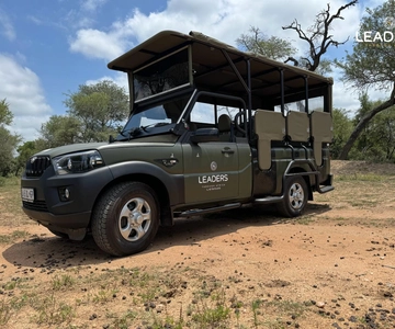 Hoedspruit: Safari privado de dia inteiro no Parque Nacional Kruger