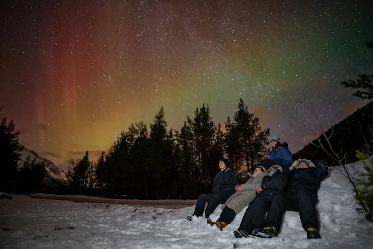 Tromsø: Northern Lights Tour (Max 8) Pickup + Finland