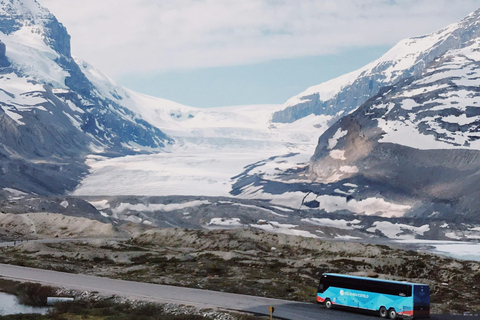 Premium Guided Icefields Parkway Tour: Glaciers and Skywalk