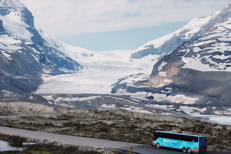 Premium Guided Icefields Parkway Tour: Glaciers and Skywalk