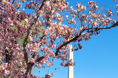 Private Washington DC Grand Tour with Changing of the Guard.