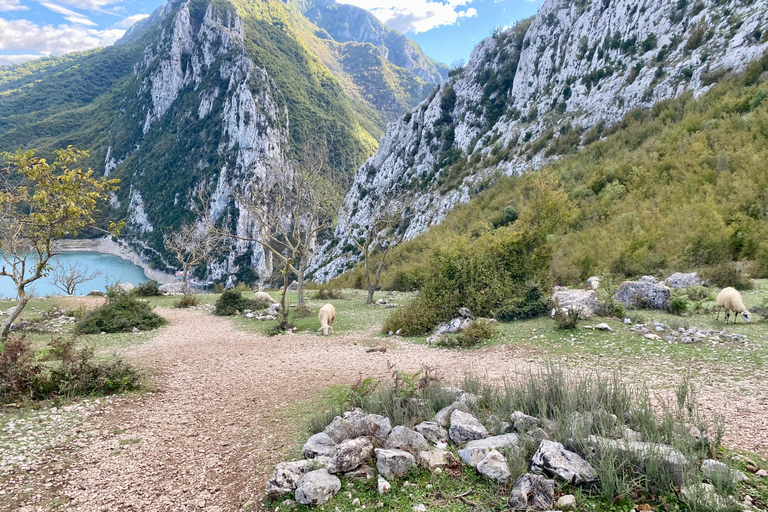 Tirana: Bovilla Lake &amp; Gamti Mountain Hike with Lunch