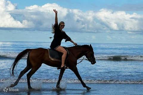 Mauritius : South-West Horse Riding Tour with Lunch Nature & Adventure: South-West Horse Riding Tour with Lunch