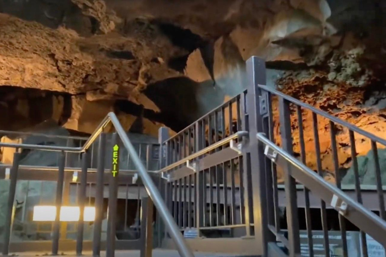 Haunted Hospital for Bravest Ghost Hunters & Silent Forest