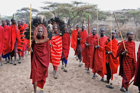 Desde Zanzíbar: safari en avión de 3 días al Serengeti y Ngorongoro