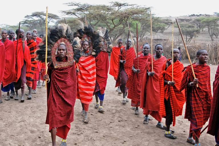 Von Sansibar aus: 3 Tage Flugsafari zur Serengeti und zum Ngorongoro