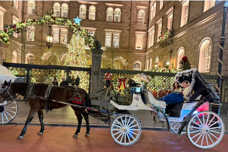 NYC: Central Park Christmas Lights Horse-Drawn Carriage Ride