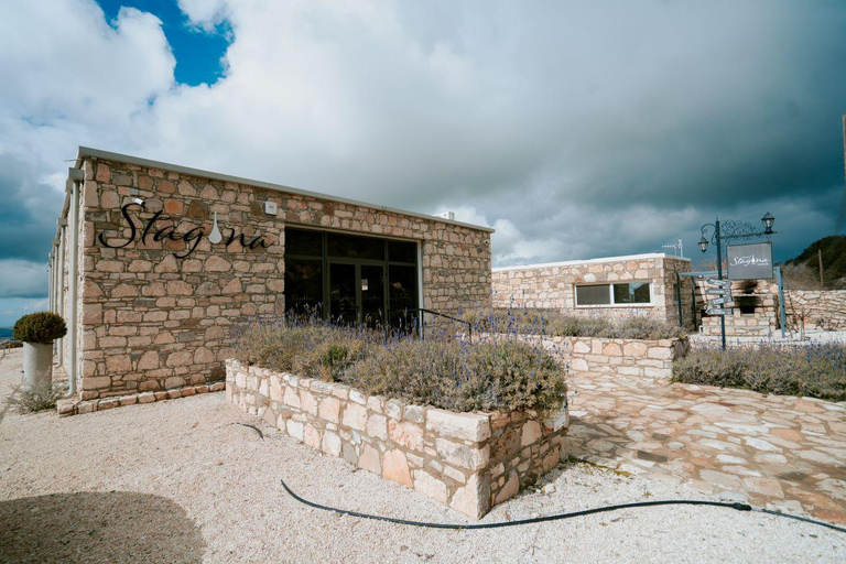 Paphos Hills Wine Tour: Tsangarides, Kolios & Vouni Panayia