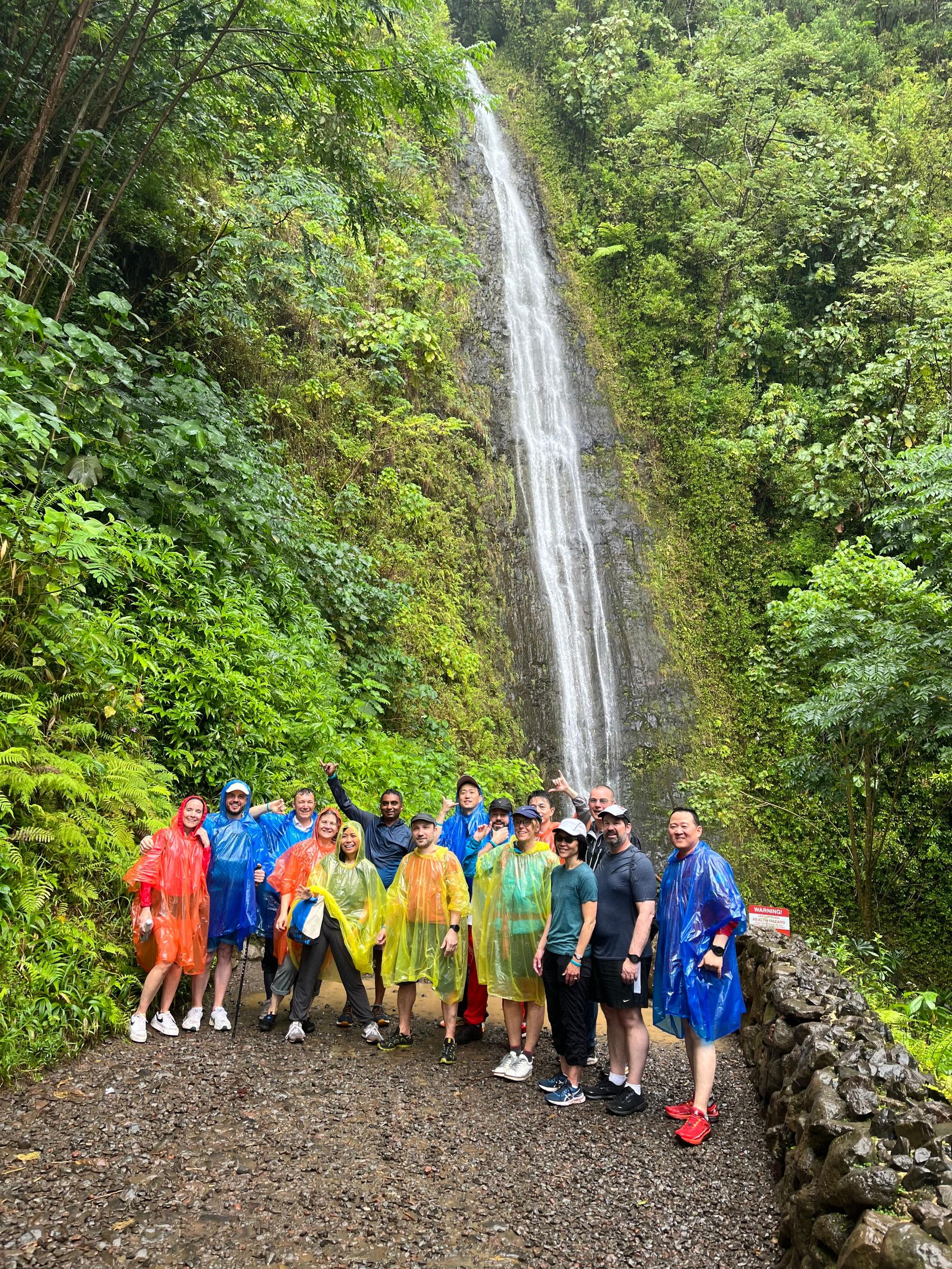Hawaiianische Wasserfall-Wanderung