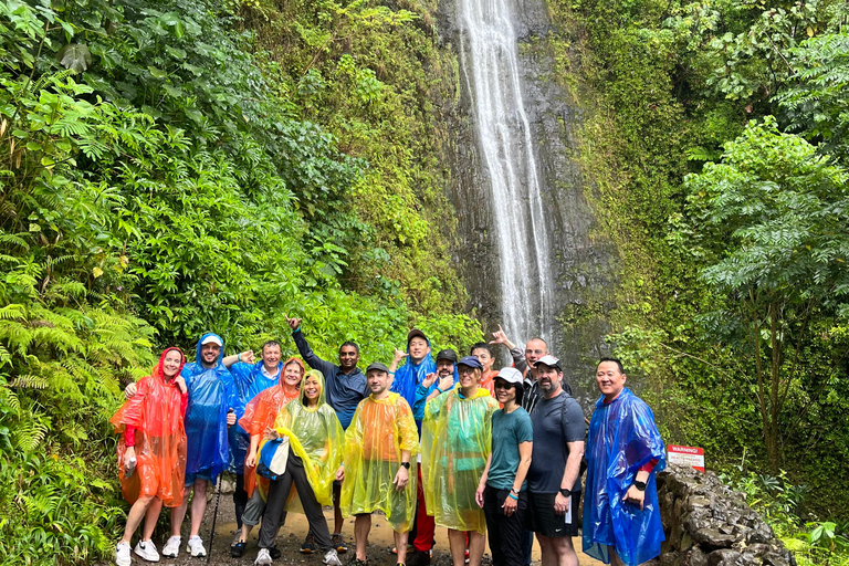 Hawaiian Waterfall Hike