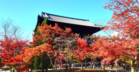 Kyoto: Guided Cycling Tour along Higashiyama&#39;s Waterfront