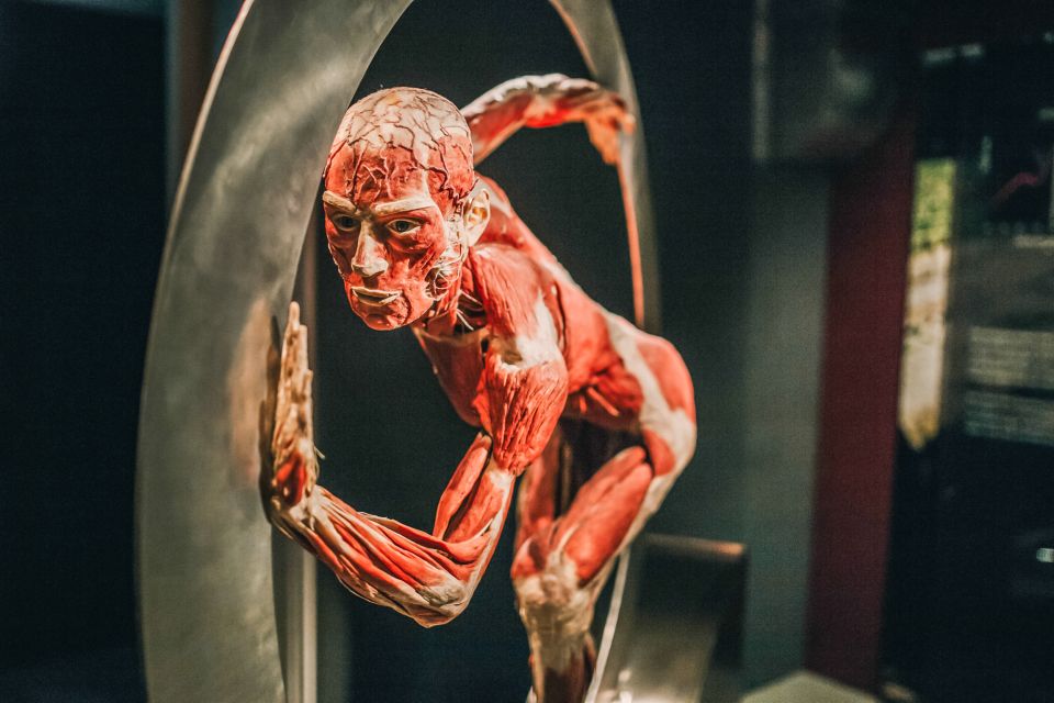 BODY WORLDS Museum Entrance Ticket 