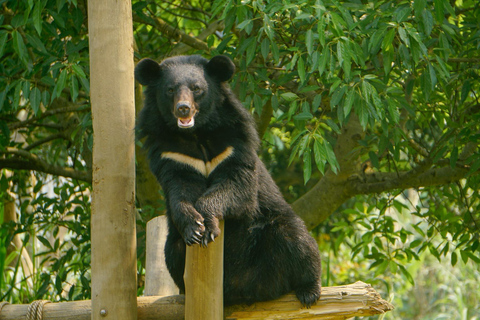 Hanoi: Van Long Wetland, Bear Sanctuary, Cuc Phuong Tour