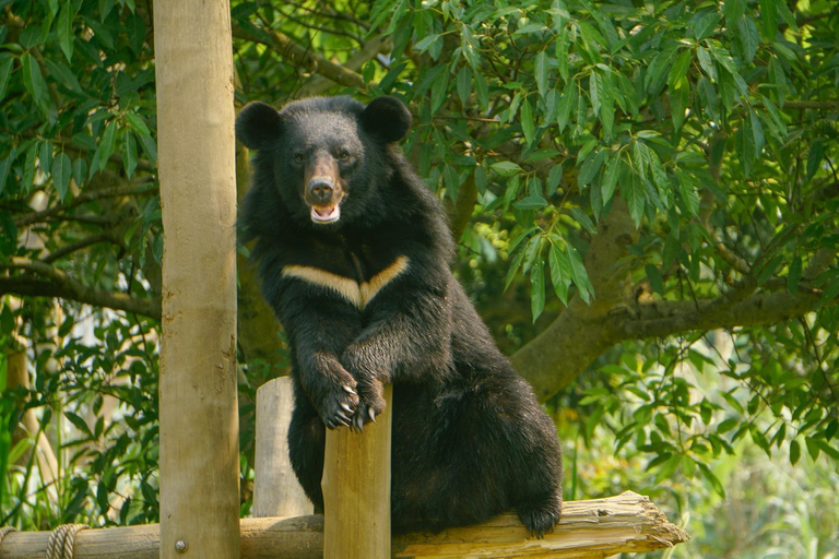 Hanoi: Van Long Wetland, Bear Sanctuary, Cuc Phuong Tour
