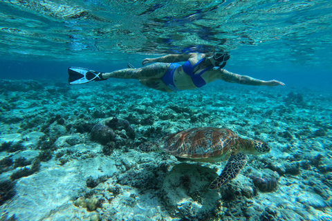 Gili Islands Snorkeling Day Trip with private speedboat