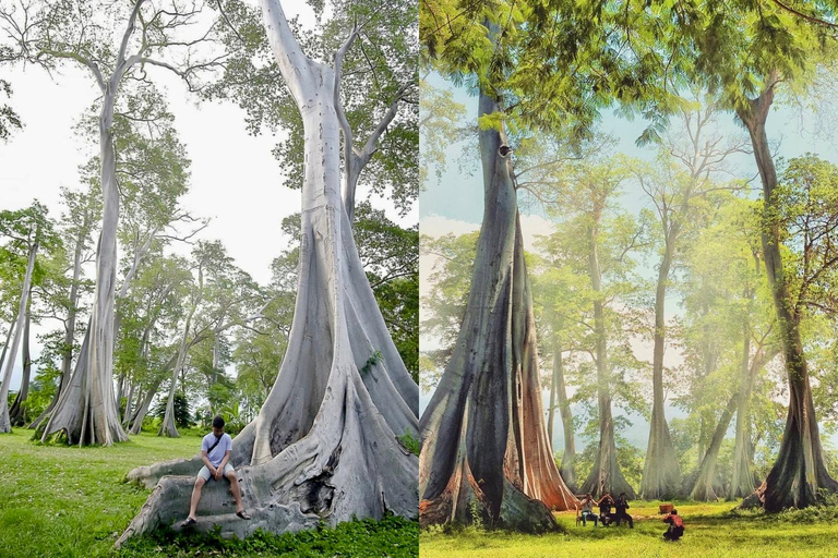 Secret Gili's Lombok: Gili Kondo, Kapal, Petagan, Bidara Start From: Senggigi,Mangsit,Mataram,Airport Lombok