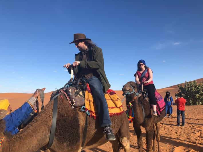 Merzouga : Nuit en campement de luxe avec dîner de chameaux - dromadaire