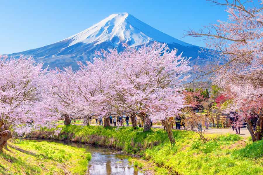 Tokio: Tour zu 6 Orten am Fuji, Yamanaka-See, Kawaguchi-See. Foto: GetYourGuide