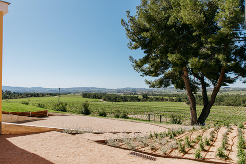 Barcelona - Penedes: Guided Tour at Jean Leon: 4 wines, 4 tapas Guided Tour with Tapas: Jean Leon Journey: 4 wines, 4 stories