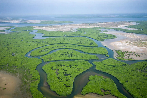 Sine Saloum: Shell Island and Bird Sanctuary