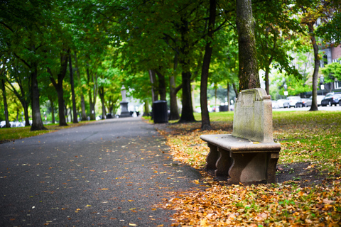 Boston: Back Bay Kleingruppentour zur Geschichte