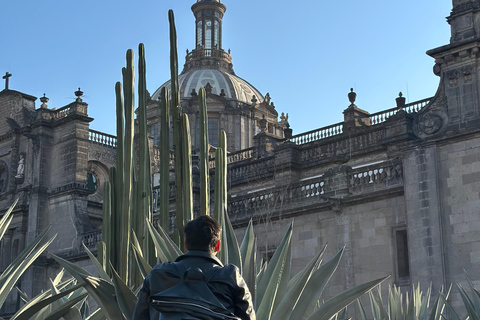 Mexico City: Walking tour of downtown, a view of the past to the present Mexico City: Walking tour of downtown, a glimpse from the past to the present