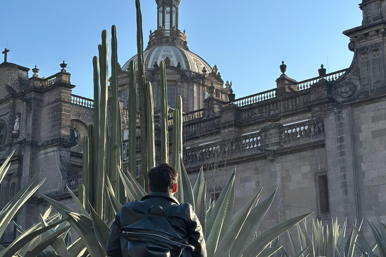 Mexico : visite à pied du centre-ville, un aperçu du passé et du présent.Mexico : visite guidée à pied du centre-ville, un aperçu du passé au présent