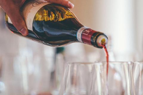 From Verona: Valpolicella and Amarone Wine Tasting Tour Shared Tour (English) 2:30 PM