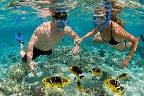 Private Catalina Island Snorkeling & Beach Day Trip