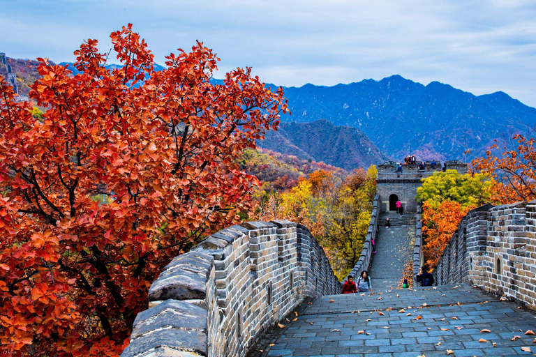 Tour privado a la Casa del Panda con la Gran Muralla o los Sitios de la CiudadOpción 1: Jardín del Panda con la Gran Muralla de Mutianyu