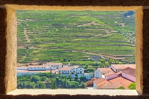 Porto: Douro Valley Tour with 3 vineyards and lunch.