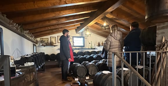 Ferrari Museum, Parmesan Cheese, Balsamic Vinegar Food Tour