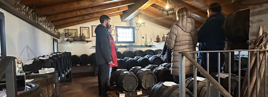 Musée Ferrari, fromage parmesan, visite culinaire du vinaigre balsamique