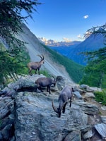 Monte Rosa Trekking Tour - Housity