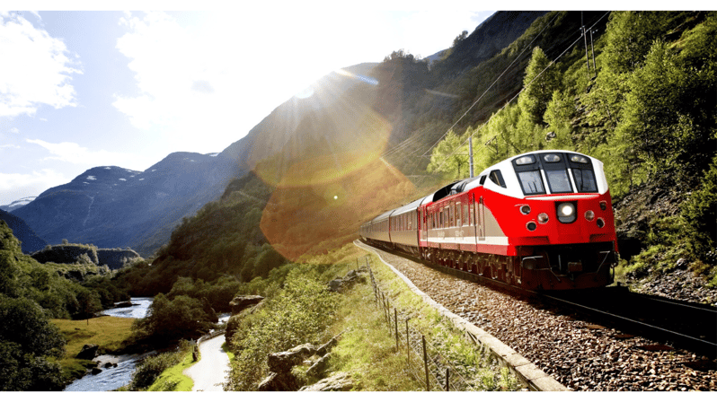 Flexible tour From Bergen to Flåm and stegastein viewpoint
