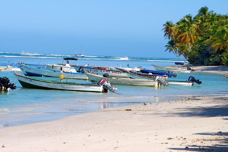 Organiza tu excursión individual a Tobago